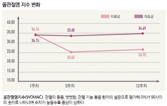 무릎관절염 뜸 치료 임상 연구 결과