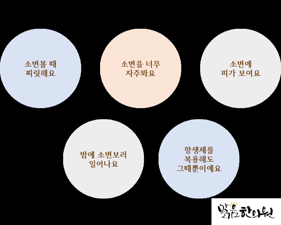 배뇨장애 증상 안내 이미지