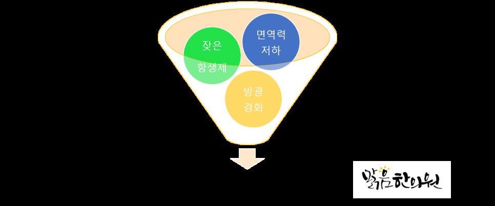 만성 방광염 설명 인포그래픽