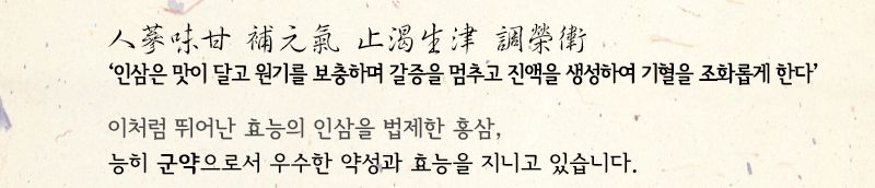홍삼 제조 과정 안내 인포그래픽