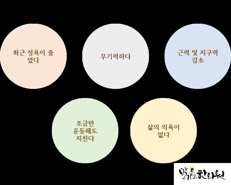 맑음한의원 다이어트 상담 안내
