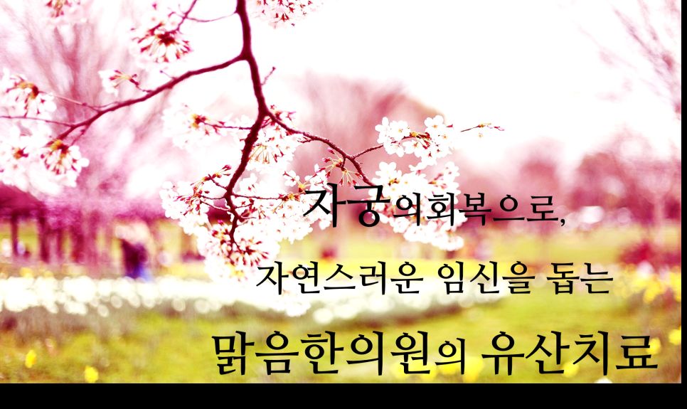 맑음한의원 진료 안내 이미지