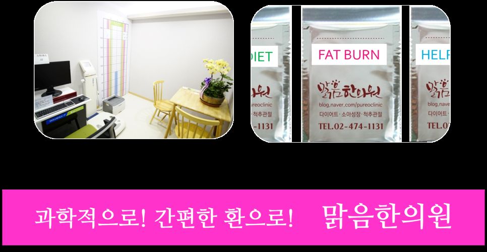 과학적인 환 다이어트 프로그램