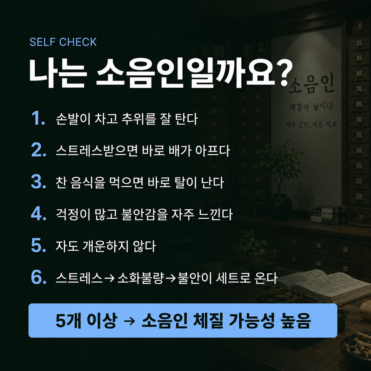 소음인 체질 자가 체크리스트