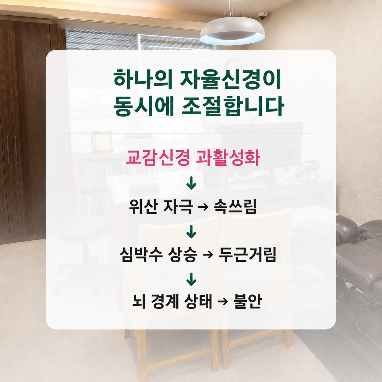 자율신경이 위장과 심장을 동시에 조절하는 구조 (원본 2번)