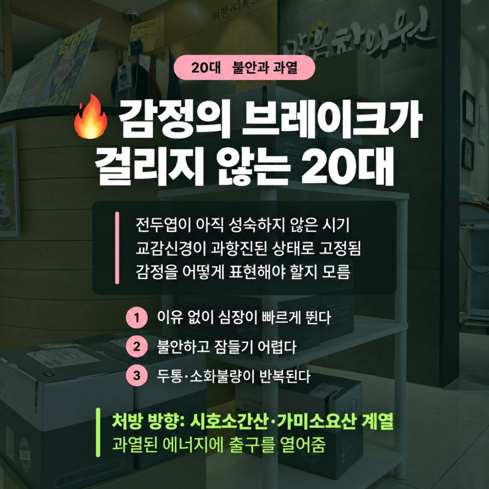 20대 화병 불안과 과열