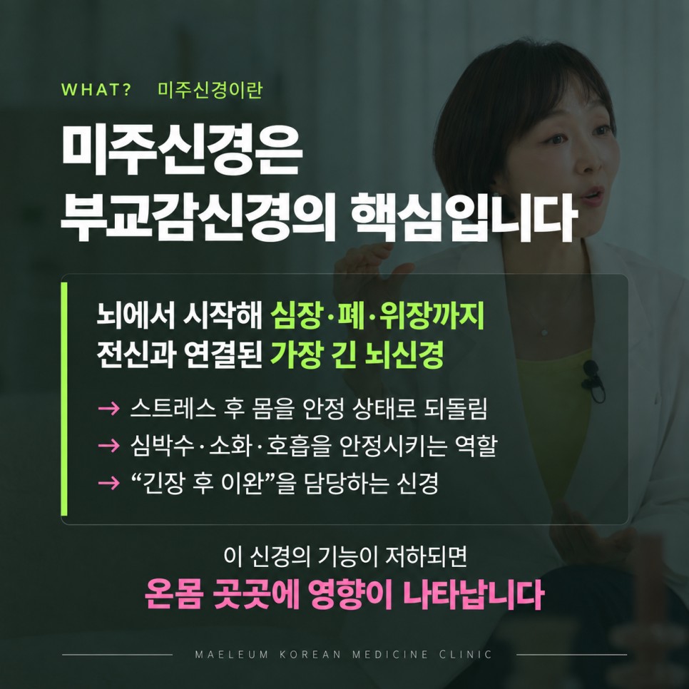 미주신경이 하는 일